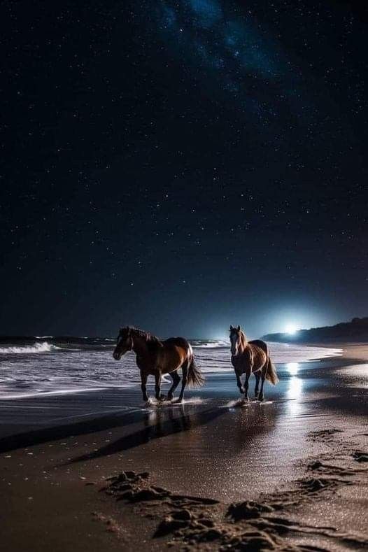 Evening ✨️