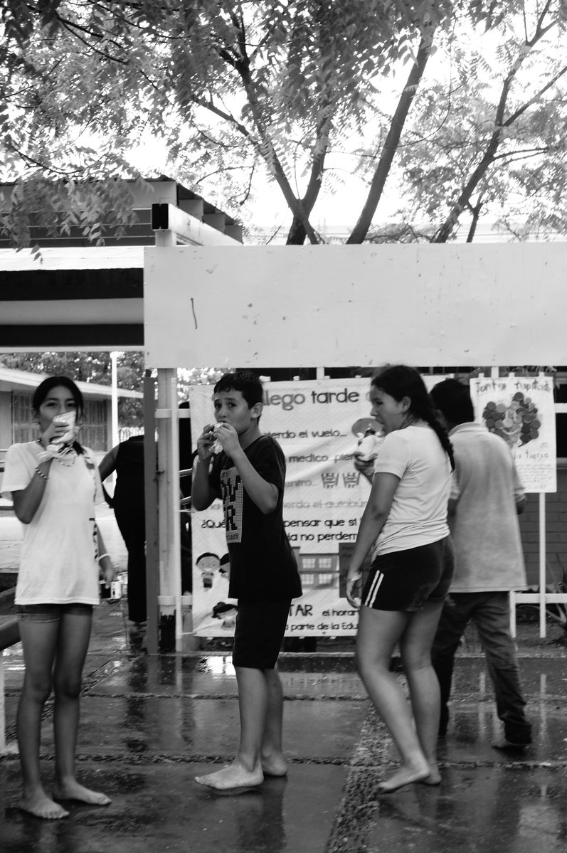 ¿Qué pasa si combinas un día lluvioso y la creatividad de #SemillerosCreativos?📸🌧️🌱

Las y los jóvenes en La Paz, #BajaCaliforniaSur, exploraron la fotografía en blanco y negro, retratabdo paisajes, donde los pisos se convierten en espejos.

#CulturaComunitaria