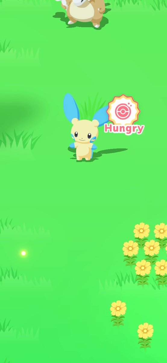 #PokemonSleep2nd
They finally showed up!!
Plusle and Minun!!