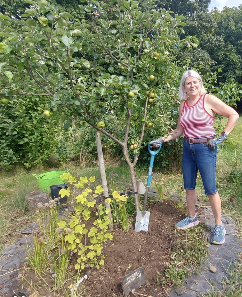 SueJWebber's tweet image. Busy in Campbell Park yesterday
🌿Planting chives at the tree base at one of orchard trees
BTW : There's already an established white current bush, well worth a taste next time passing.
🌺And I planted a horse radish plant and a large clump of day lillies
Thirsty work!