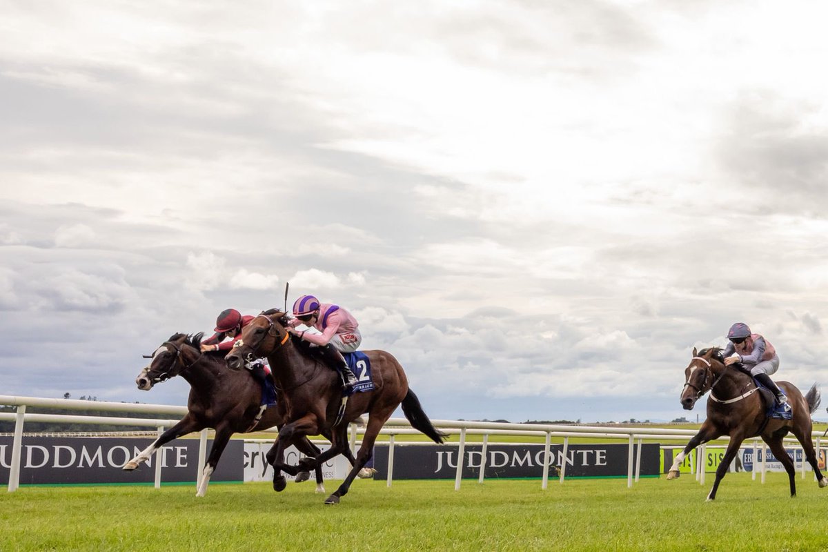 curraghrace's tweet image. ☕ Stop The Nation proves a class act in the @lavazza Sprint Nursery Handicap under James Ryan for Jack Davison, continuing the excitement at the Curragh on Irish Oaks weekend.
Well done to all connections!✨🌳