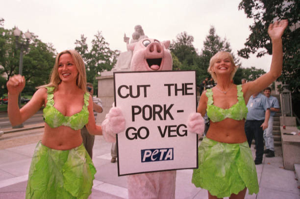 25YearsAgoLive's tweet image. PETA protestors serve US Congressmen veggie hot dogs on Capitol Hill.