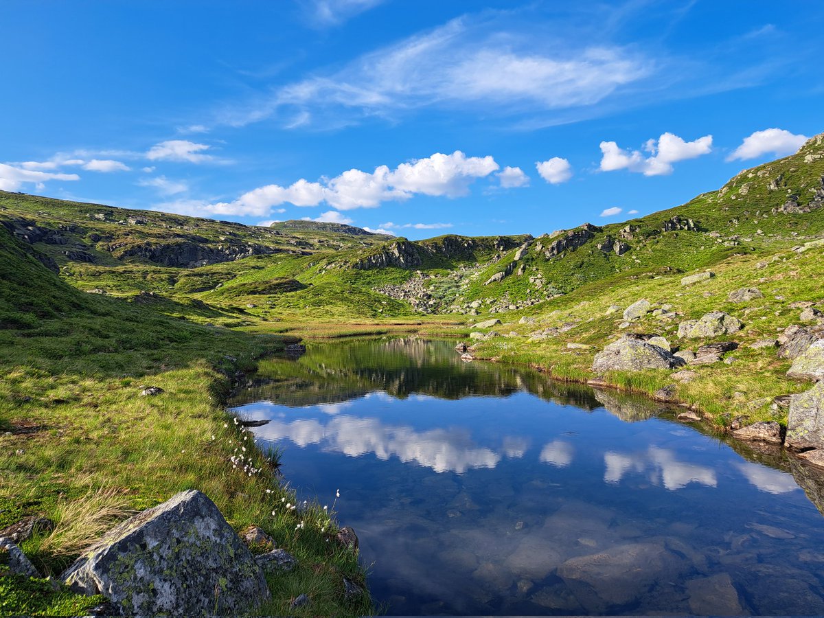 Heming H. Gujord tweet media