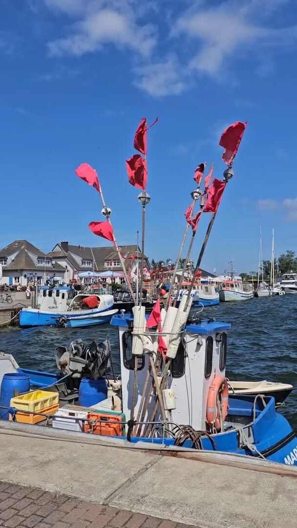 Ein Moment Hafenruhe 🌊⚓

Was löst dieser Anblick bei dir aus?
Schreib es in die Kommentare! ⬇️

#hiddensee #hiddensee_moments #inselleben #inselliebe #inselhiddensee #hafenromantik #hafenliebe #hiddenseeforum #hiddenseeverliebt #meerverliebt #meerweh #… instagr.am/p/DMS-7KCIXb_/
