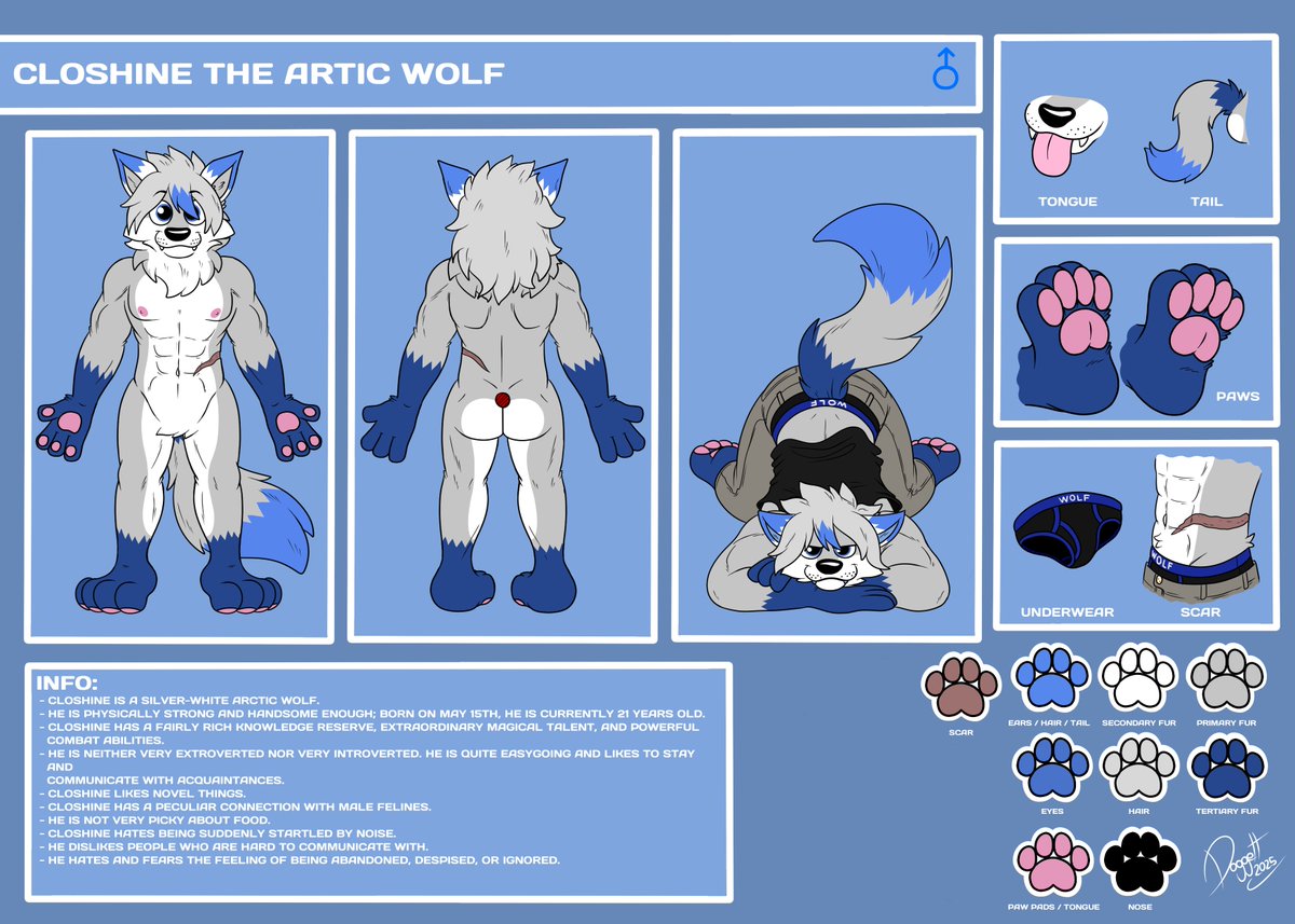 Closhine the Artic Wolf reference sheet
Art for <a href="/ShiBao20749/">nonono</a> 

#art #furry #furryart #wolf