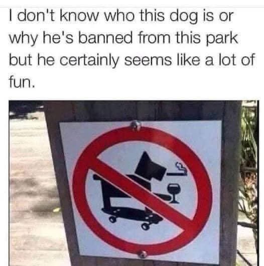 😆😆😆😆