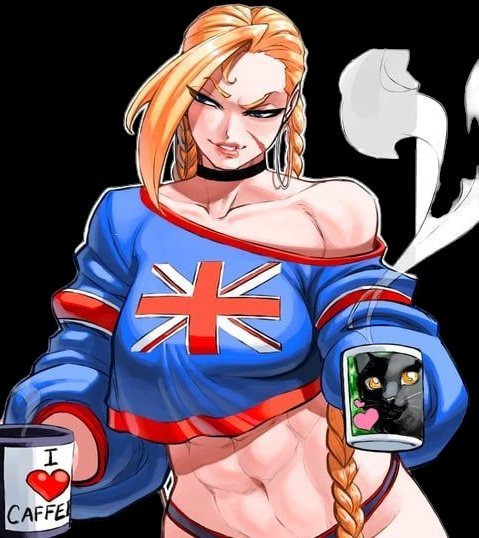 ReTIREDCammy's tweet image. ❛My 3 Loves. Coffee, Cats and my Country.❜