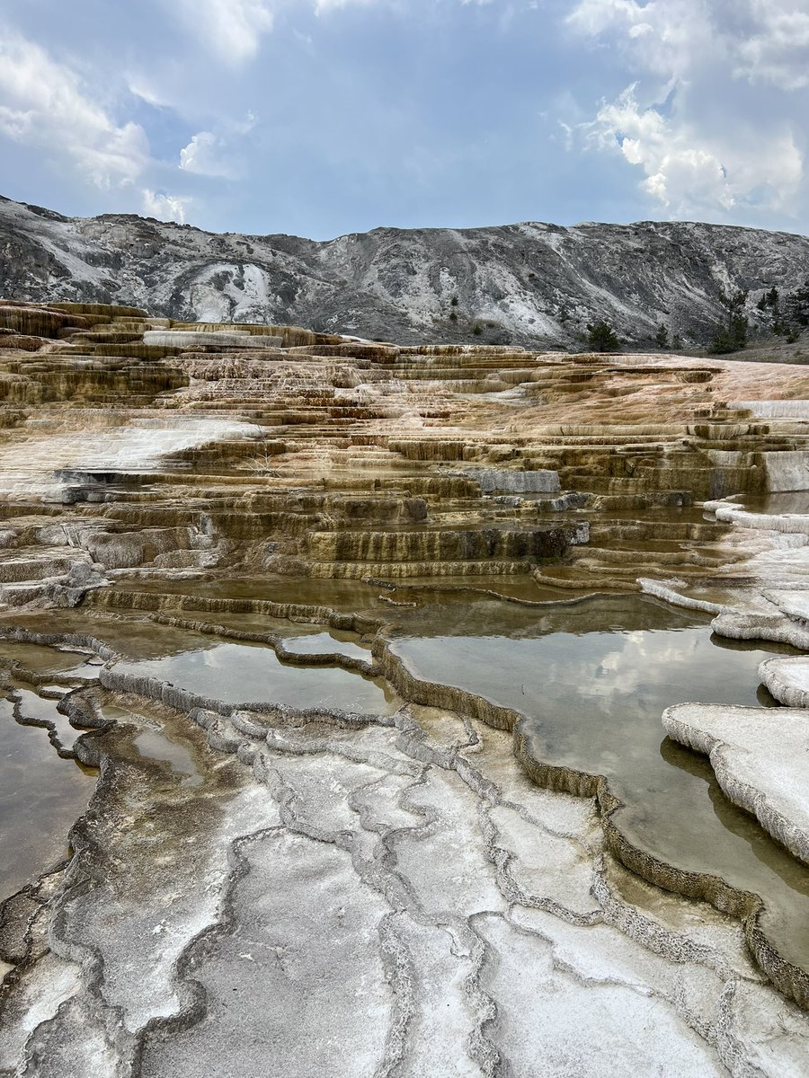 earlygirl__'s tweet image. like…