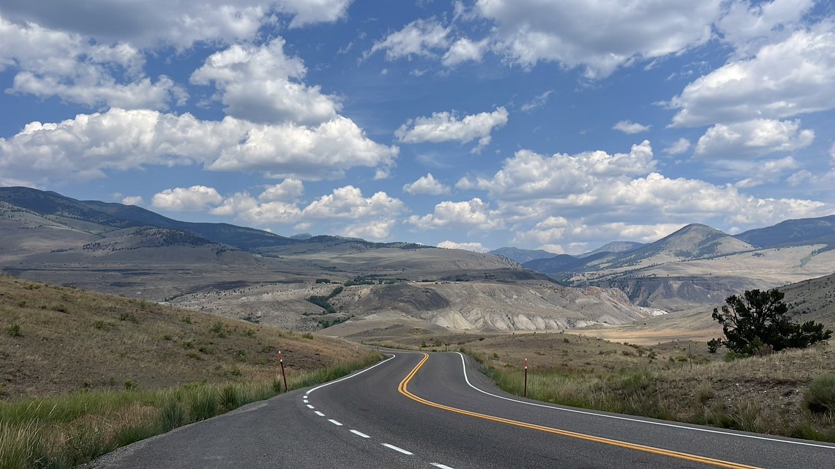 earlygirl__'s tweet image. like…