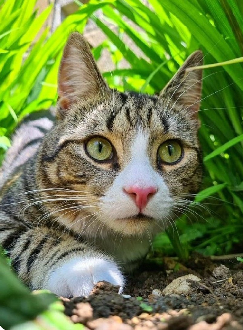 Winksy with the 3 legs 🌍 tweet media