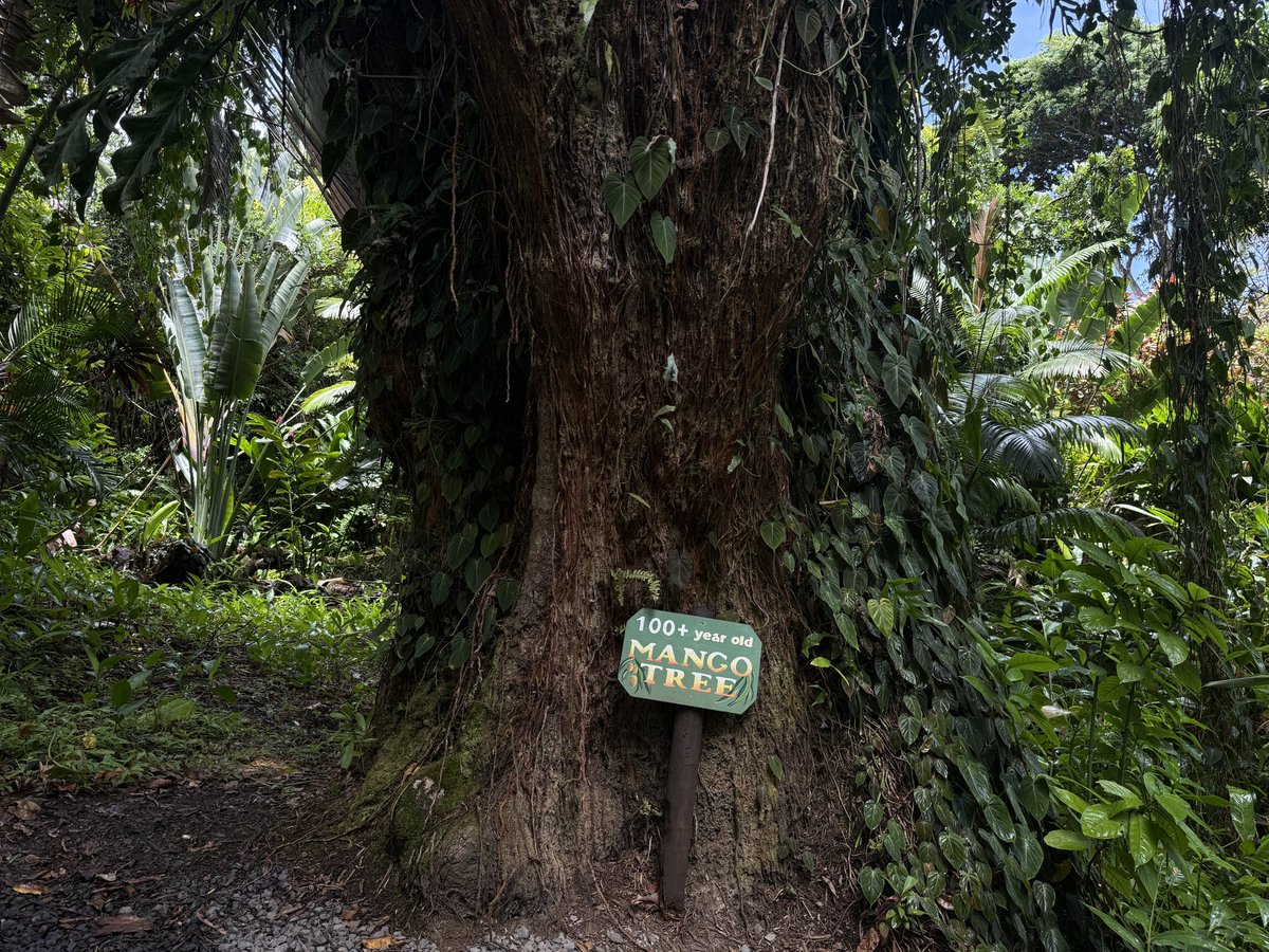 ‎ً (@outsideinmay) on Twitter photo 