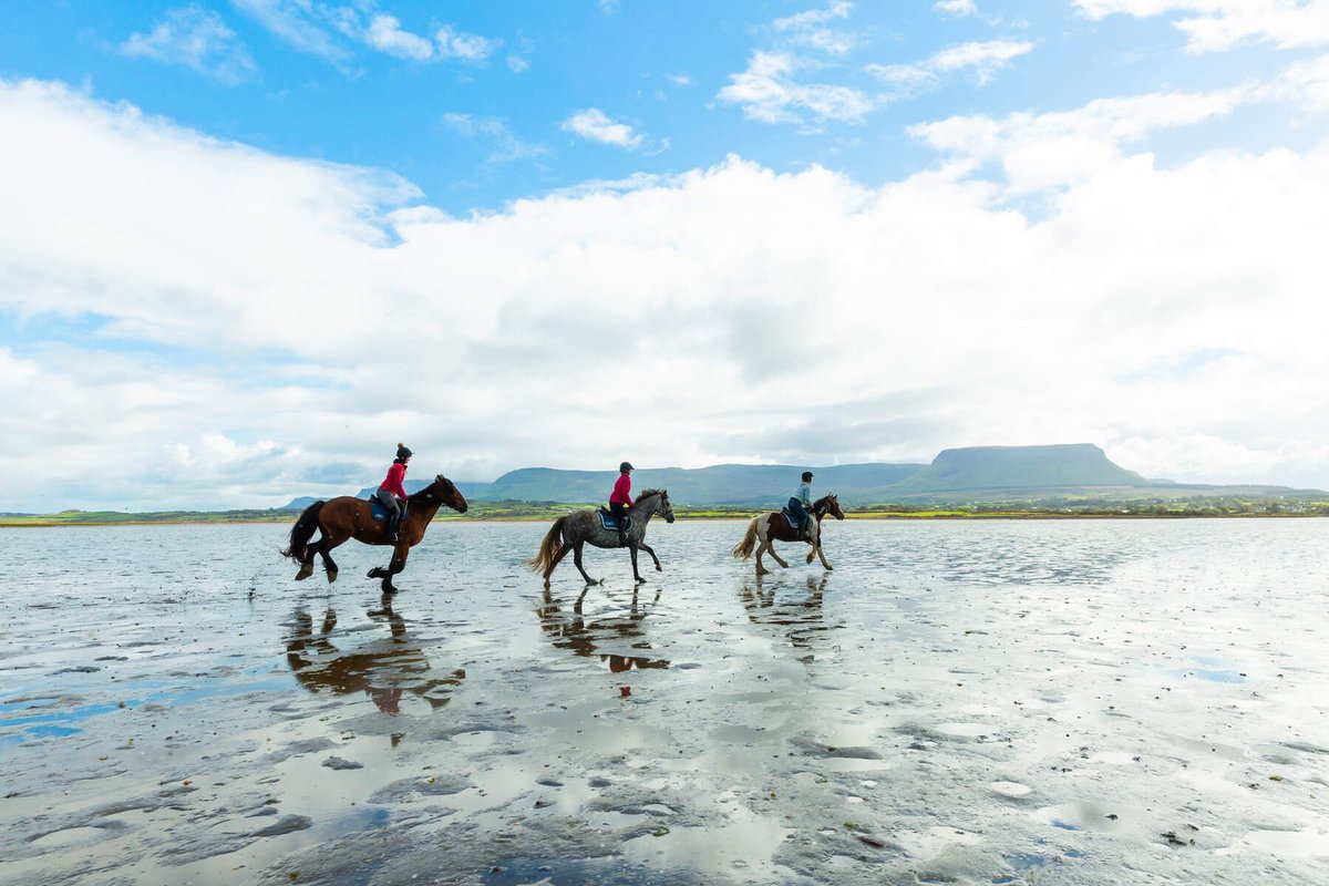 DescubreIrlanda's tweet image. Desliza y descubre una experiencia inolvidable en Sligo 😍
Montar a caballo en Streedagh Beach con Benbulben de fondo es pura magia.
Ideal para todos los niveles 🐎
¿Con quién cabalgarías aquí?
📍Sligo, Irlanda
