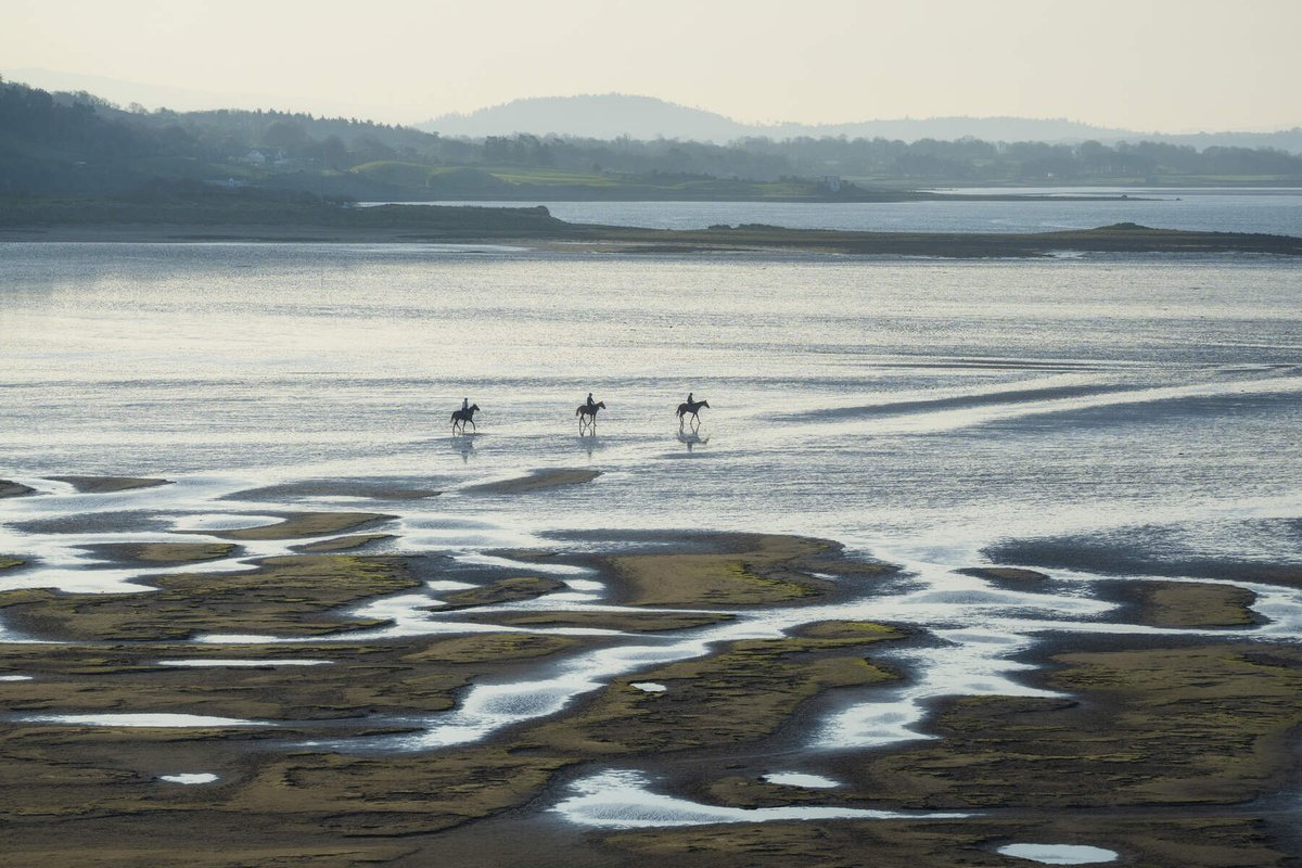 DescubreIrlanda's tweet image. Desliza y descubre una experiencia inolvidable en Sligo 😍
Montar a caballo en Streedagh Beach con Benbulben de fondo es pura magia.
Ideal para todos los niveles 🐎
¿Con quién cabalgarías aquí?
📍Sligo, Irlanda