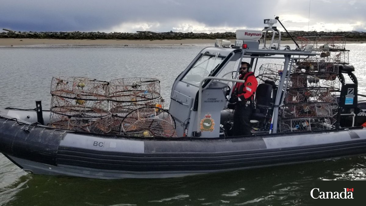 DFO_Pacific's tweet image. Unmarked prawn and #crab traps are illegal and may be pulled out of the water by an enforcement officer. Make sure your gear is legal and follow the #fishing rules. ow.ly/GKQh50WrvR6