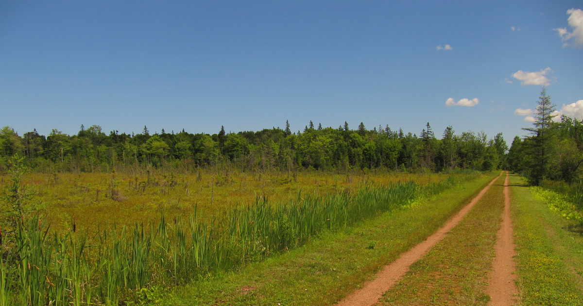 Sentier Transcanadien 🇨🇦 (@sentiertc) on Twitter photo Quiz Sentier! Quelle province affiche le plus haut % de corridors verts sur l’ensemble du <a href="/SentierTC/">Sentier Transcanadien 🇨🇦</a>? Pas de voitures! Juste des sentiers faits pour les adeptes de rando, de cyclisme, de nature et pour les familles.
Indice : ce n’est pas une question de taille, mais d'audace! Quiz Sentier! Quelle province affiche le plus haut % de corridors verts sur l’ensemble du <a href="/SentierTC/">Sentier Transcanadien 🇨🇦</a>? Pas de voitures! Juste des sentiers faits pour les adeptes de rando, de cyclisme, de nature et pour les familles.
Indice : ce n’est pas une question de taille, mais d'audace!