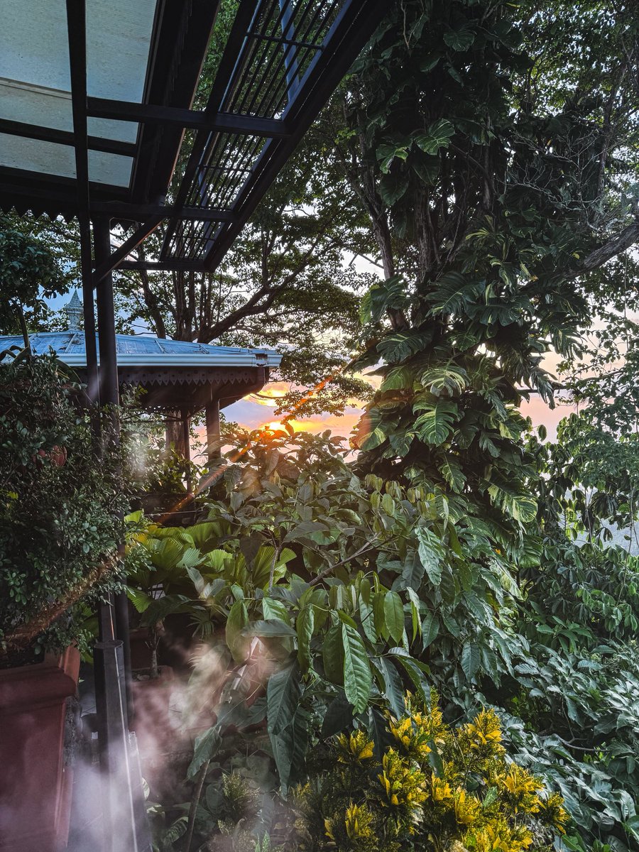 JenPhilOfficial's tweet image. Week in the jungle with my handsome man 🖤 Costa Rica is a gem.