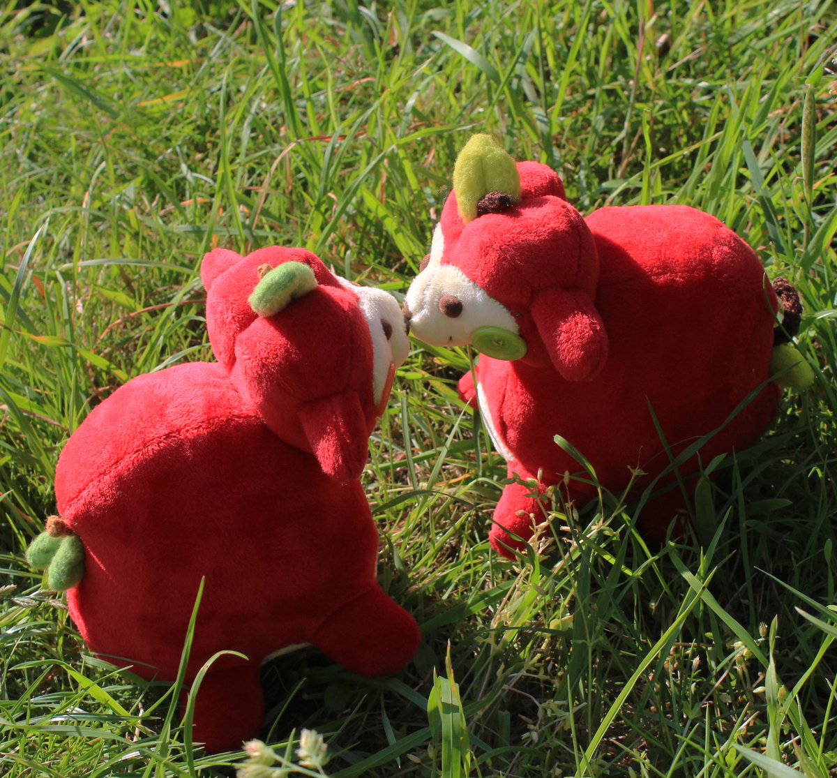 kkorotokii's tweet image. I present to you....brand new Pestka plushies! I completely remade my old plushie pattern #oc