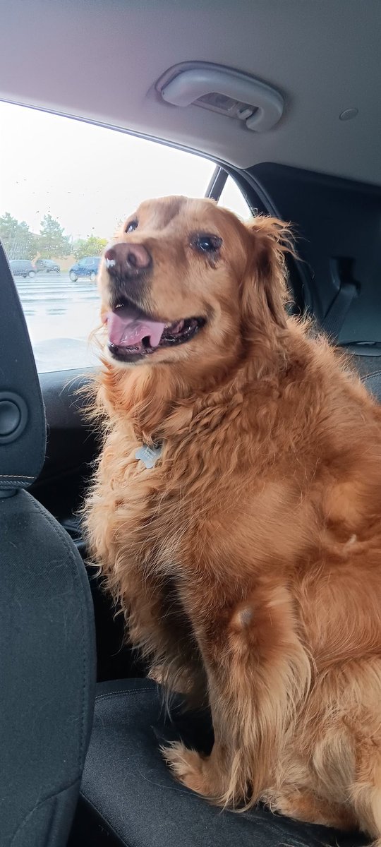 . <a href="/ZohranKMamdani/">Zohran Kwame Mamdani</a> I donate/support downstate candidates like <a href="/LindseyBoylan/">Lindsey Boylan</a> when she ran. You have my 💯 % support. Now I have to donate $50 to you because my wife, daughter and granddaughter think you're "cute." I'm donating because YOU GOT THIS! Oh, Piggy would donate, but she