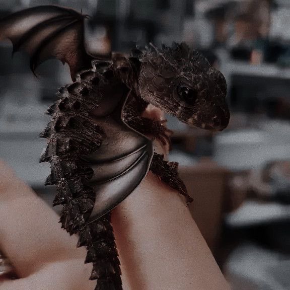 MoonbornMagic's tweet image. 