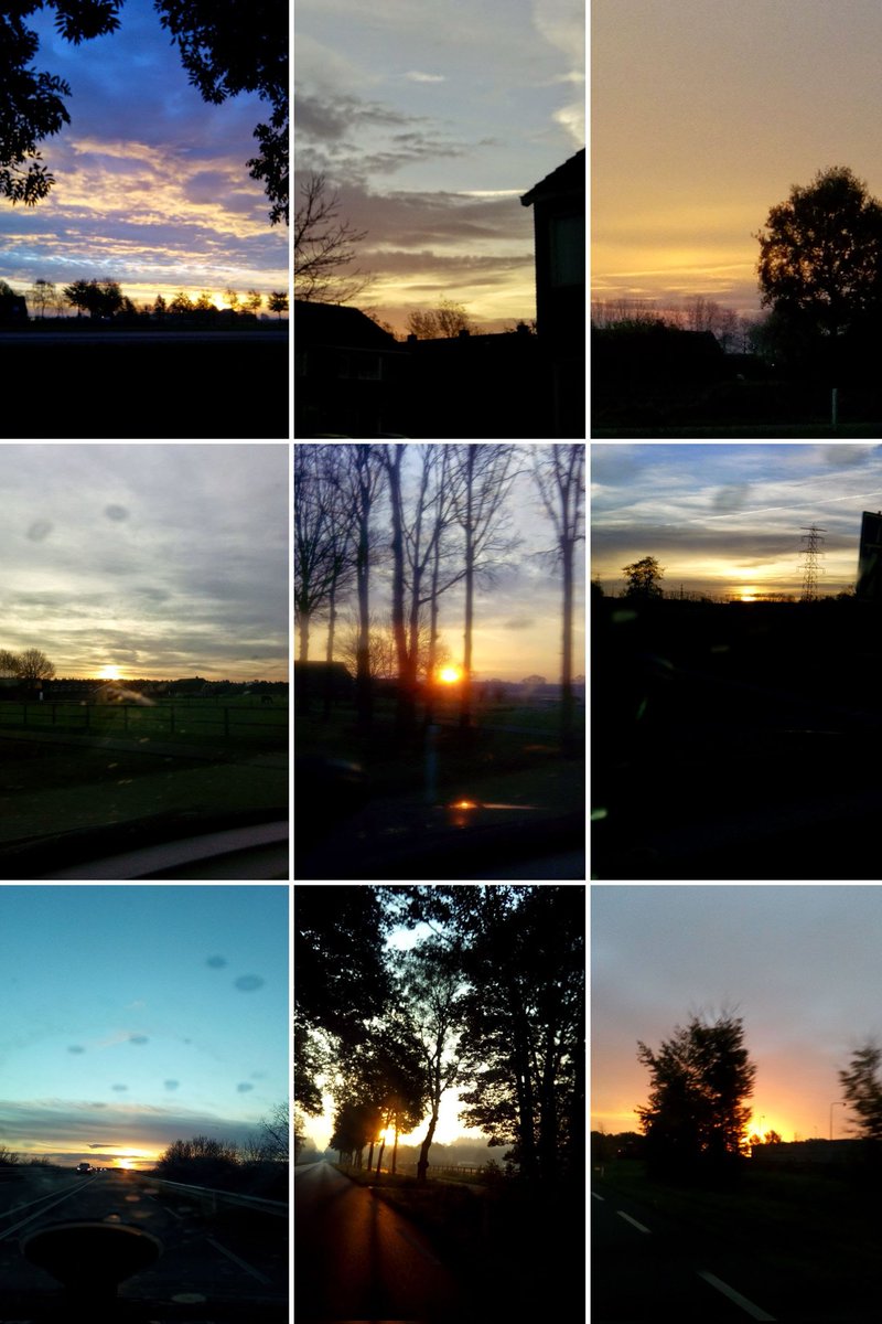 ꪜꫀꪀⅈ, ꪜⅈᦔⅈ, ꪜⅈᥴ𝕥ø𝕣 🧠🐦 of BlueSky? 🤔 (@victorzelf) on Twitter photo 