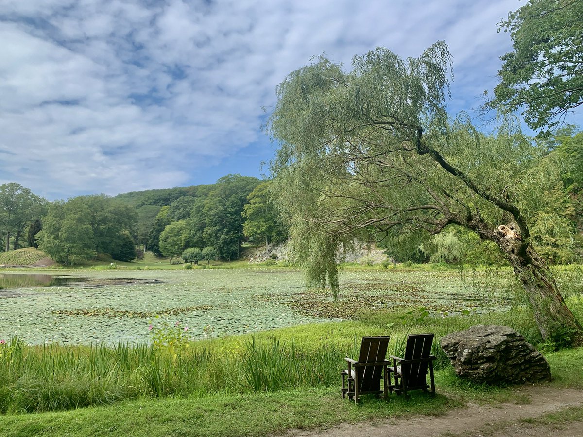 Post a picture of something green 💚