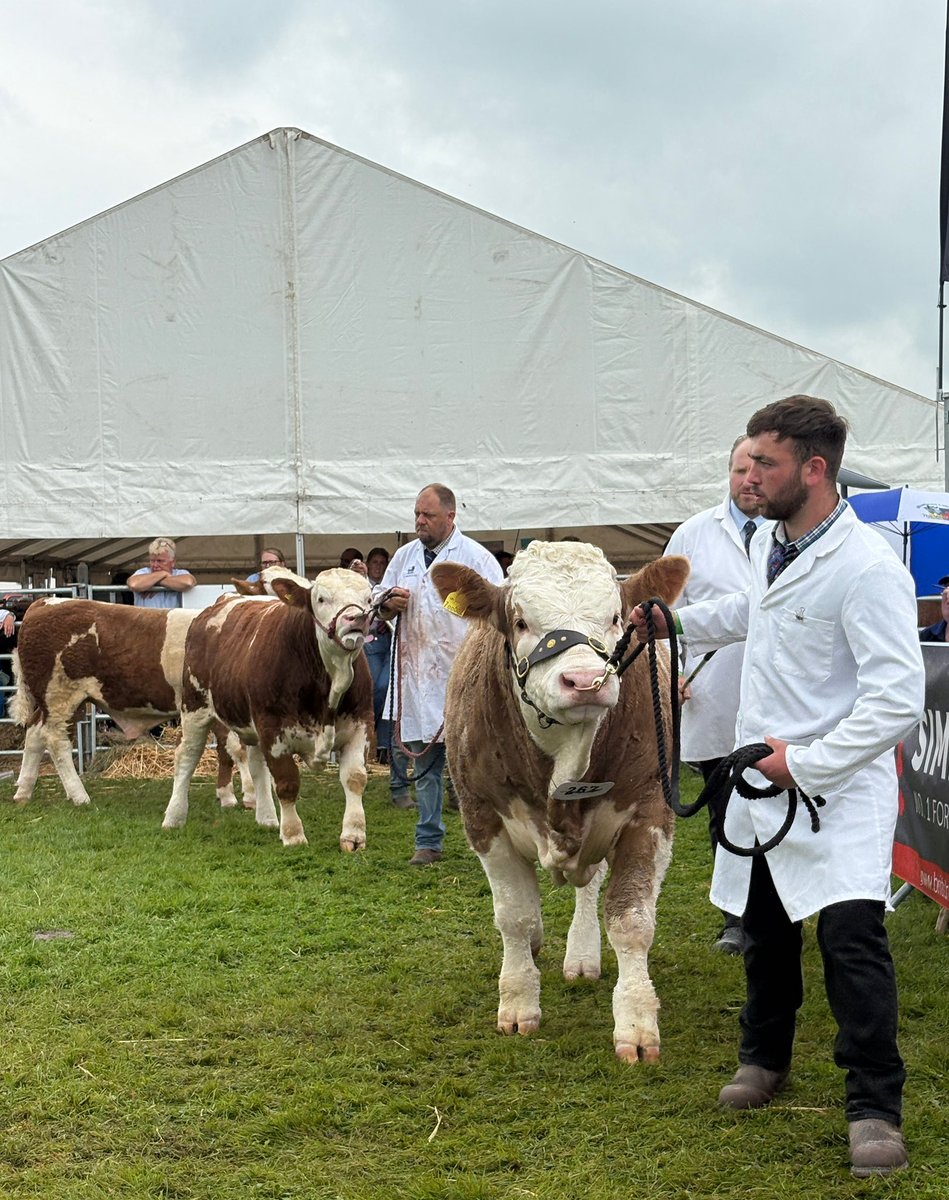 studant47's tweet image. #RoyalLancashireAgriculturalShow #SalesburyHall #Ribchester #Lancs #heavyhorses #farming #competition #family #outdoors #nature @blogpreston @Gillylancs