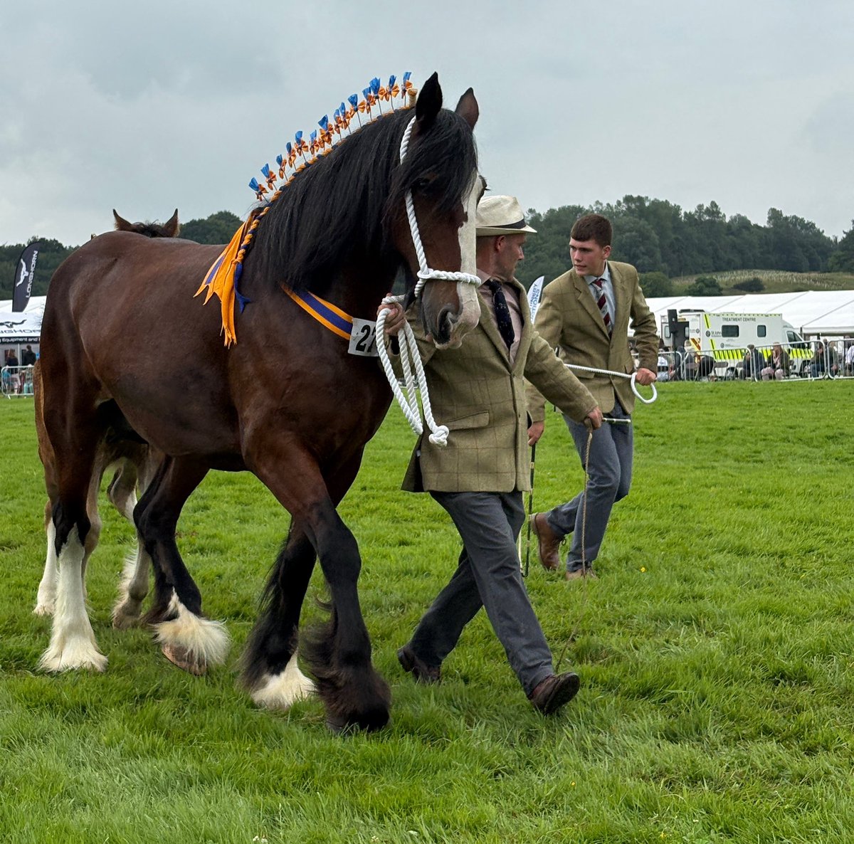studant47's tweet image. #RoyalLancashireAgriculturalShow #SalesburyHall #Ribchester #Lancs #heavyhorses #farming #competition #family #outdoors #nature @blogpreston @Gillylancs