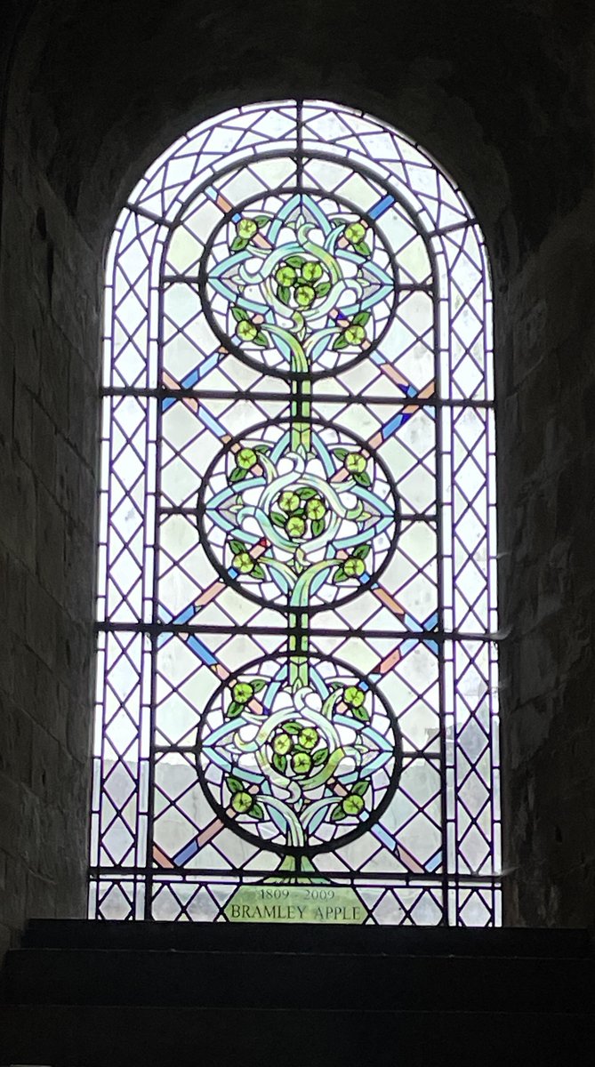 MeredithCatrin's tweet image. Spoilt for #StainedGlassSunday choice with @SouthwMinster - here's the Bramley apple's 200th birthday window by Helen Whittaker and Keith Barley, and an excellent site with all of them here southwellchurches.nottingham.ac.uk/southwell-mins…