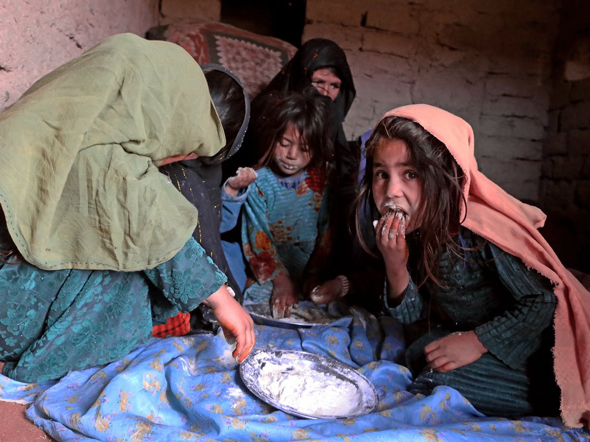 Breaking news:-
In the last couple of days, Taliban have arrested more than 100 girls from Kabul without saying the reason why. 
Still world silent and just watching.
Where is action??
If the women we are in contact with—or our brave students—are harmed or arrested by the Taliban