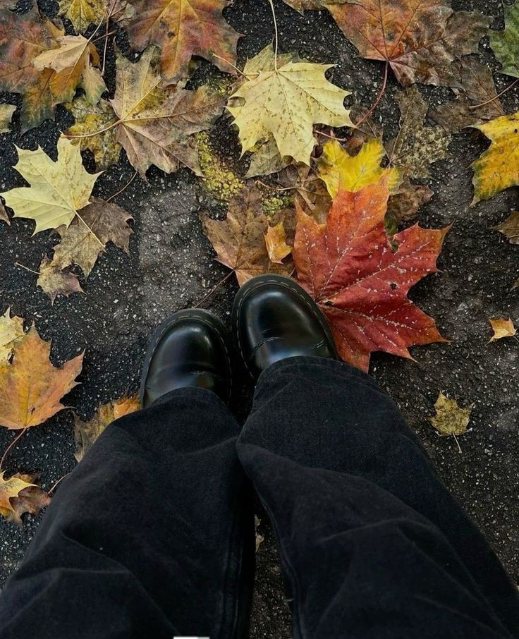 autumn girl tweet media