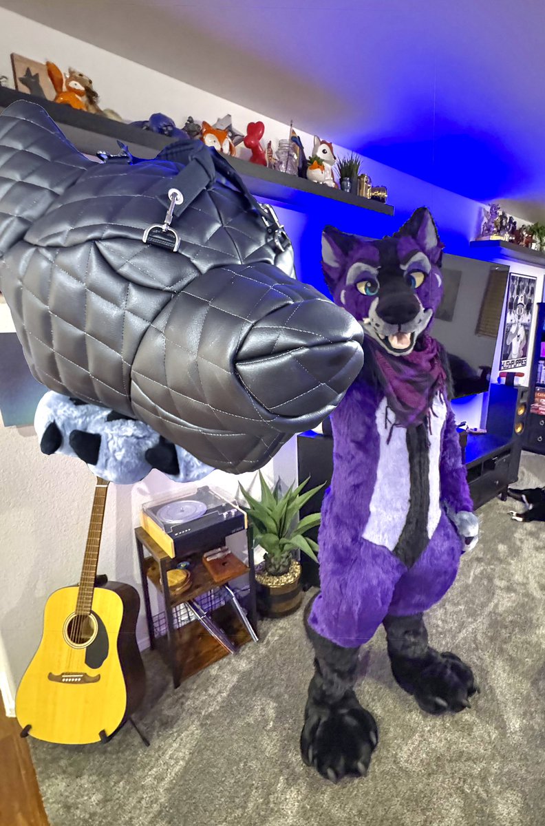 ItsAllBark's tweet image. Hey there!

Here’s your B A G
