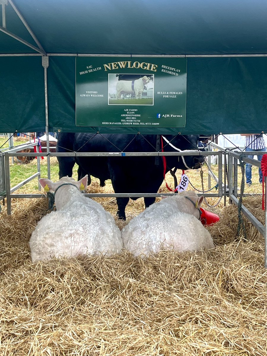 HarrietCross_MP's tweet image. 🧑🌾 Fabulous day at @newdeershow - a true celebration of Aberdeenshire’s farming community, their livestock and their produce and our rural way of life 🙌