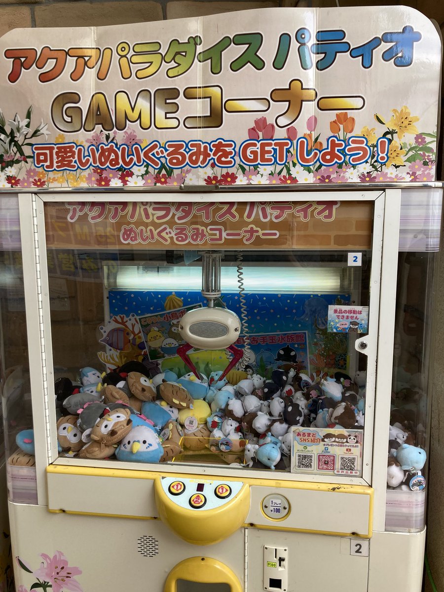 zunko1116's tweet photo. 日付け変わっちゃった💦
昨日は深谷グリーンパークに行って綺麗なユリを見て、モリモリのUFOキャッチャーで300円で4こずえゲットした https://t.co/34L4PgcoWW