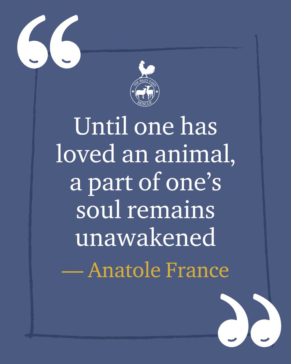 RileyFarmRescue's tweet image. "Until one has loved an animal, a part of one’s soul remains unawakened." 🌿 — Anatole France
At The Riley Farm Rescue, we awaken souls by saving abused & abandoned animals. 🐾🏡
Help us continue this mission. Every bit counts. 🙏
➡️ therileyfarmrescue.org
#AnimalLove