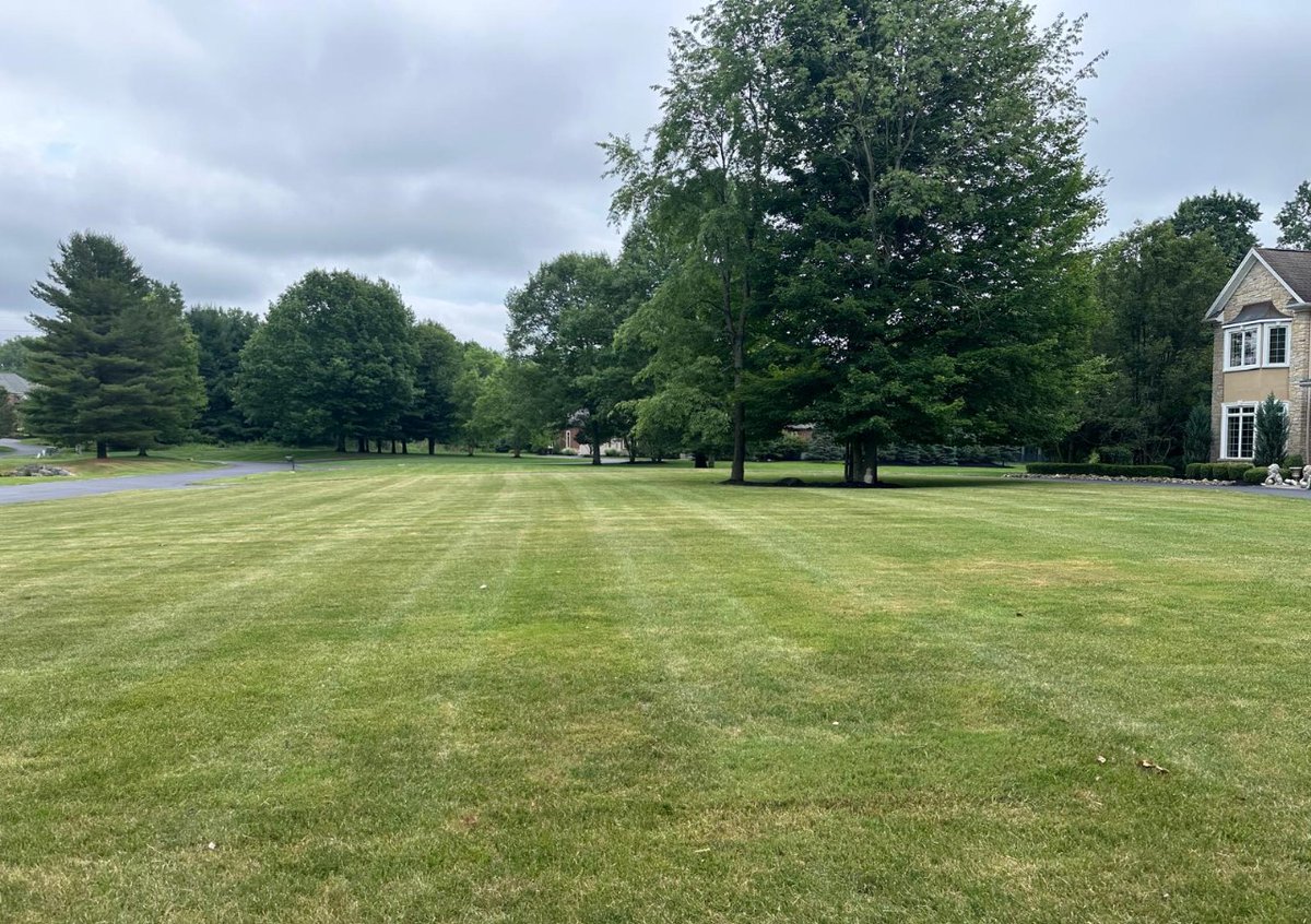 kdservicesNY's tweet image. Swipe to see the mow-gic!✨
From messy to manicured, our expert lawn mowing service brings instant curb appeal and a crisp finish every time.
Let your yard be the best on the block!
📲 716-400-4369 for your appointment.

#KDLandscaping #LawnMakeover  #CleanCut #LawnGoals #Buffalo