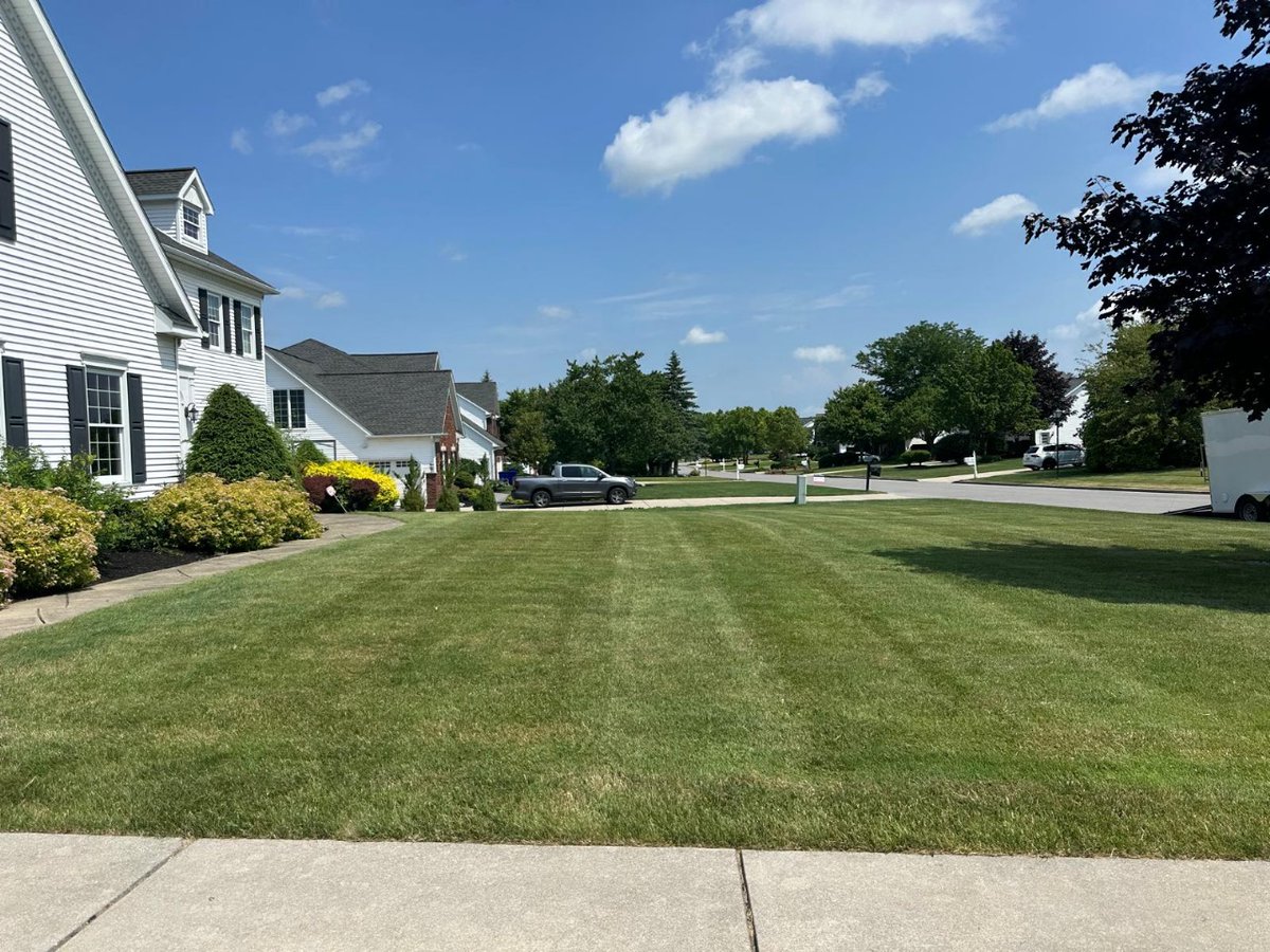 kdservicesNY's tweet image. Swipe to see the mow-gic!✨
From messy to manicured, our expert lawn mowing service brings instant curb appeal and a crisp finish every time.
Let your yard be the best on the block!
📲 716-400-4369 for your appointment.

#KDLandscaping #LawnMakeover  #CleanCut #LawnGoals #Buffalo