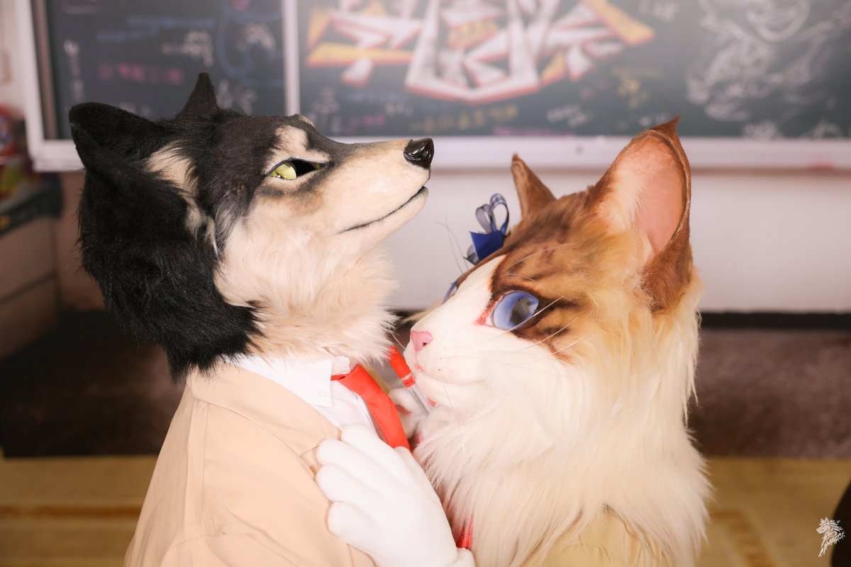 Shioru9010's tweet image. 學妹好可愛呀~
—————
後輩って本当にかわいい~
🐈:@yako568987
#UTFG2025
#FursuitEveryday