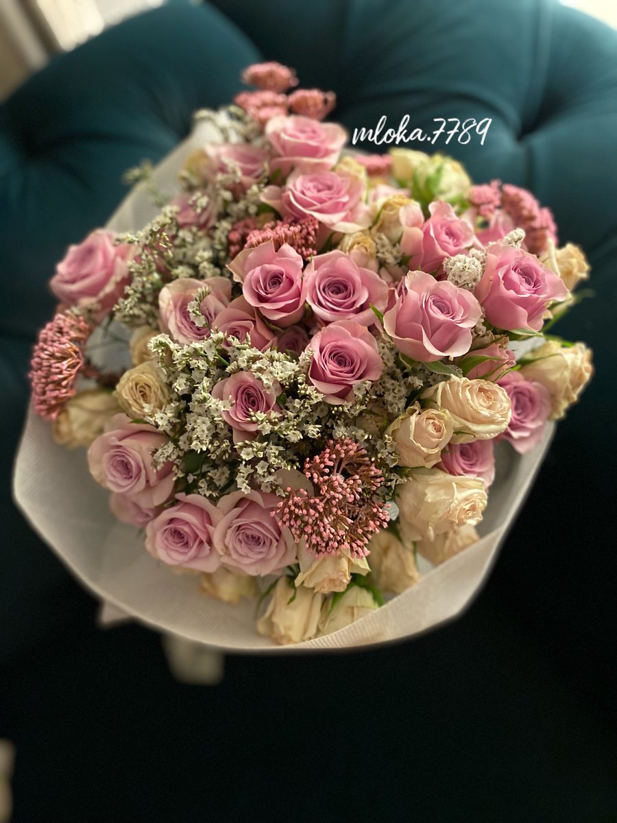 2003_mloka's tweet photo. Nice flower.💜🤍 https://t.co/qoFnyqEnhV