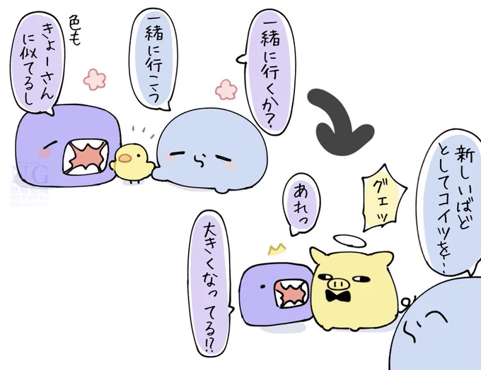 ヒヨコのきょーさん🐥 