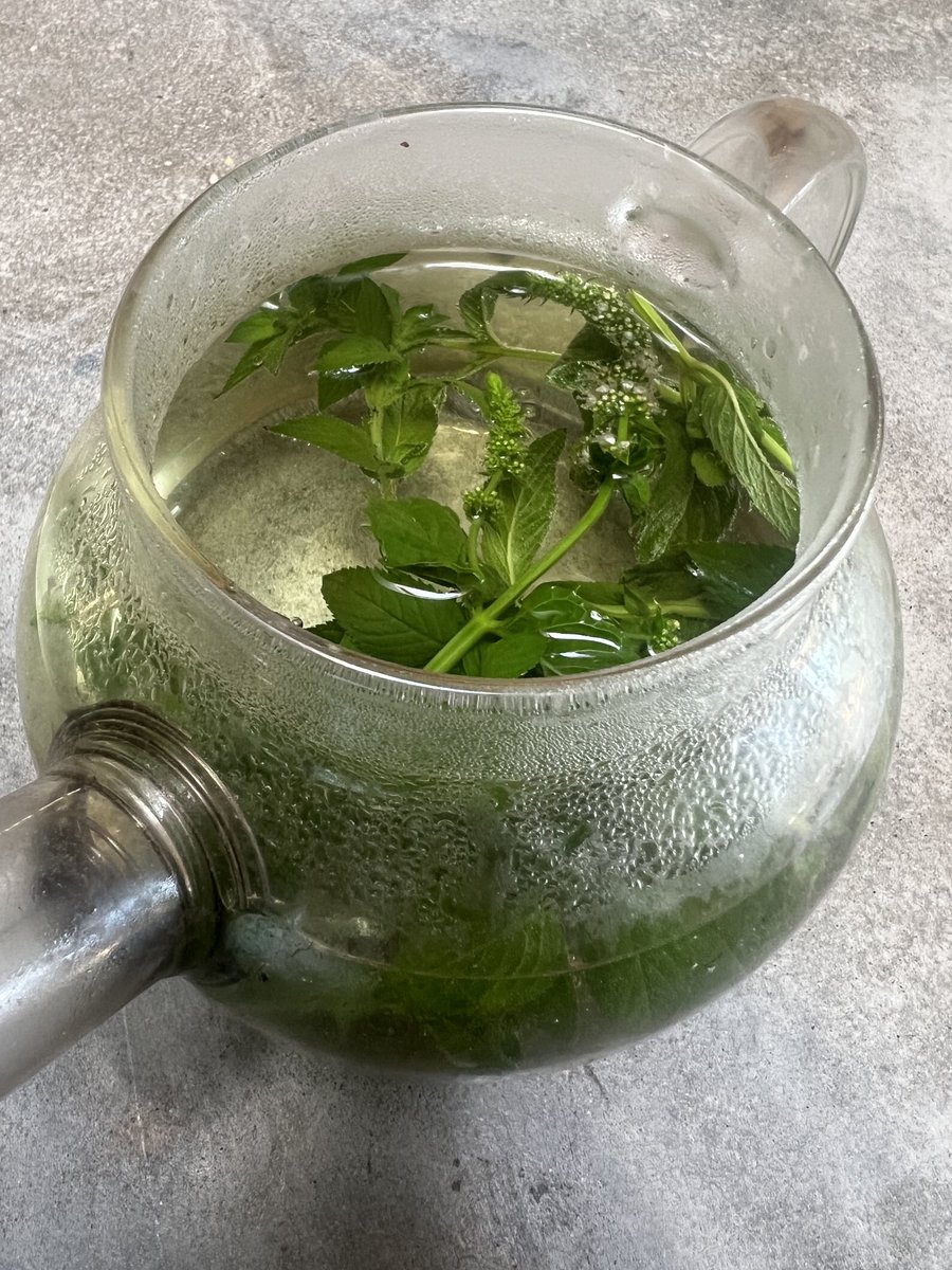 chiadust's tweet photo. Garden fresh peppermint tea for icing on a hot summer day https://t.co/a0QI3vaGhz