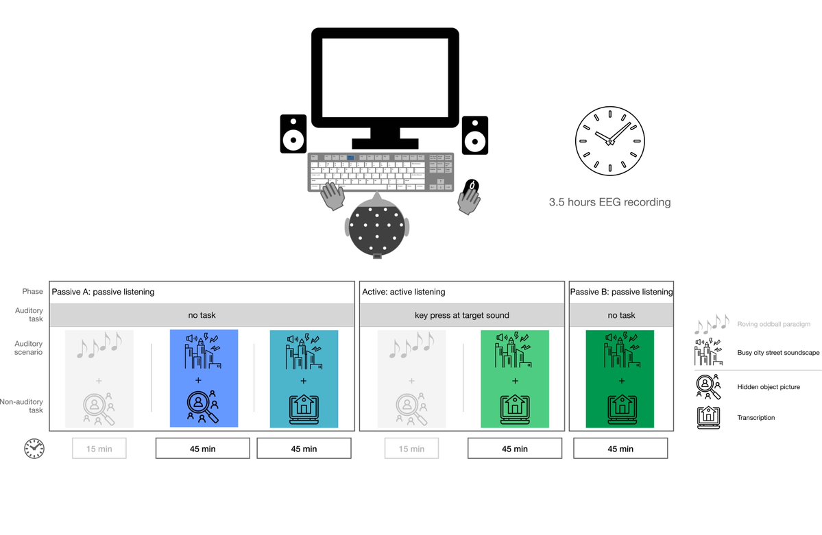 SfNJournals's tweet image. How do noisy environments disrupt concentration and interfere with task performance? Korte et al. explored this question and uncovered a neural signal for shifts in attention during auditory distraction. eneuro.org/content/early/…