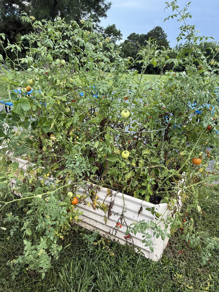 โ๐ ๐ค๐๐๐๐ฃ๐ช ๐๐๐ค๐ค๐๐๐๐๐ฃ ๐ฆ
tweet media