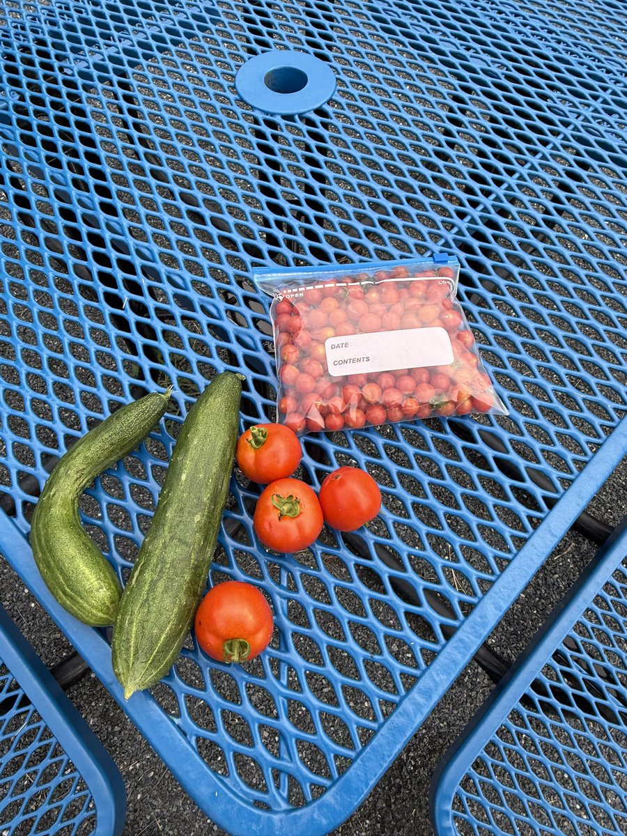 โ๐ ๐ค๐๐๐๐ฃ๐ช ๐๐๐ค๐ค๐๐๐๐๐ฃ ๐ฆ
tweet media