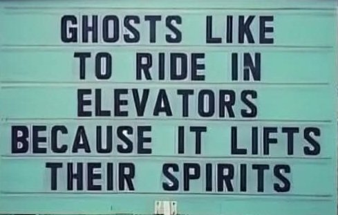 #ghost 
#SaturdayVibes #LoL #laugh