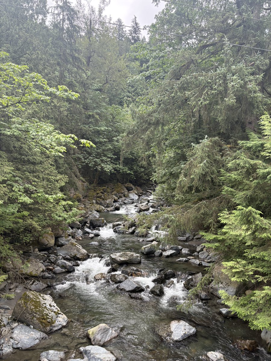 thebeaconsignal's tweet image. No WiFi. No notifications. Just mud, moss, and memories that don’t make sense in the city .
The mountain doesn’t care who the president is.
The river doesn’t argue about politics.
36 hours away from everything fake.
See you on the other side of the reboot.