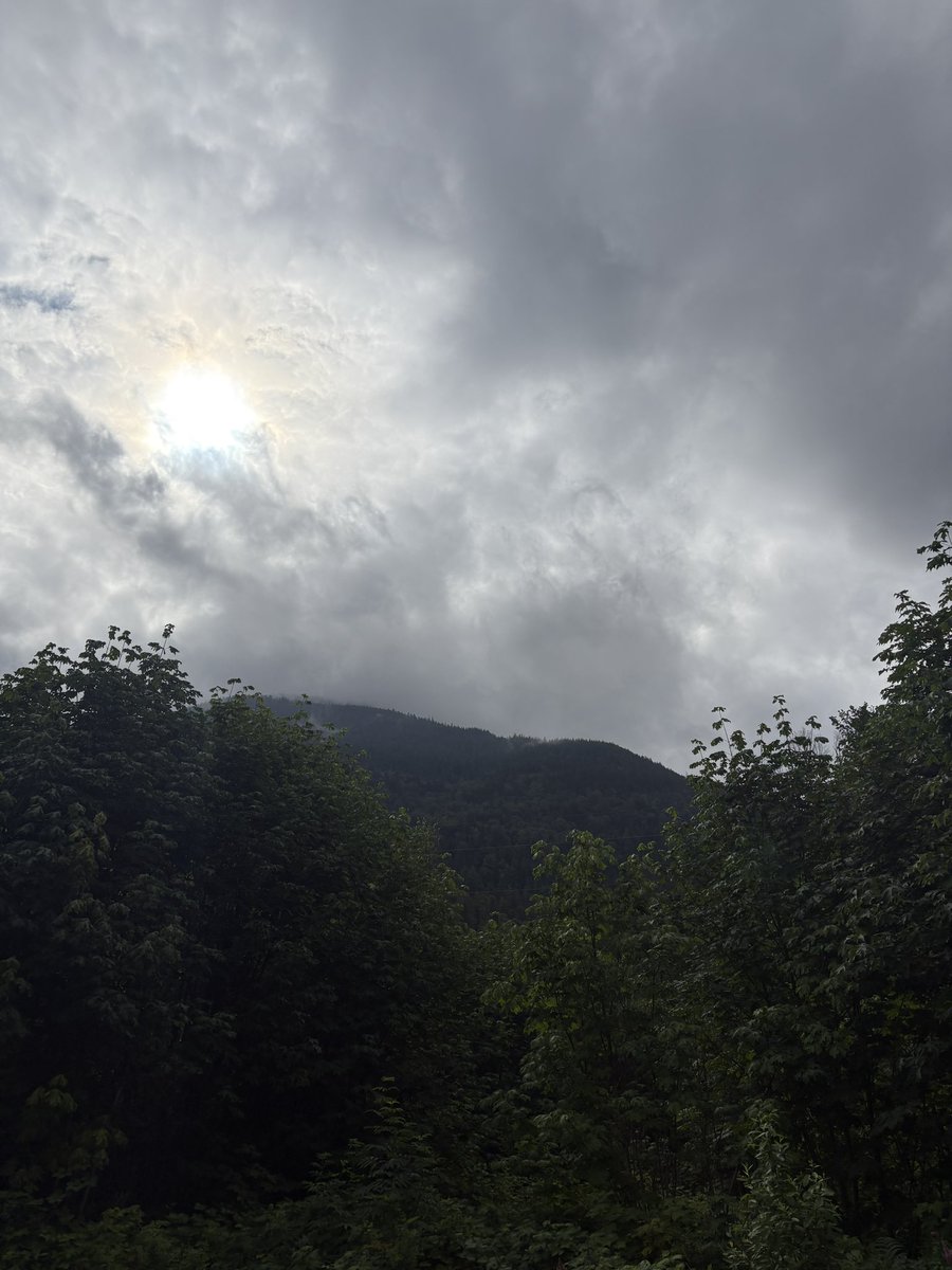thebeaconsignal's tweet image. No WiFi. No notifications. Just mud, moss, and memories that don’t make sense in the city .
The mountain doesn’t care who the president is.
The river doesn’t argue about politics.
36 hours away from everything fake.
See you on the other side of the reboot.