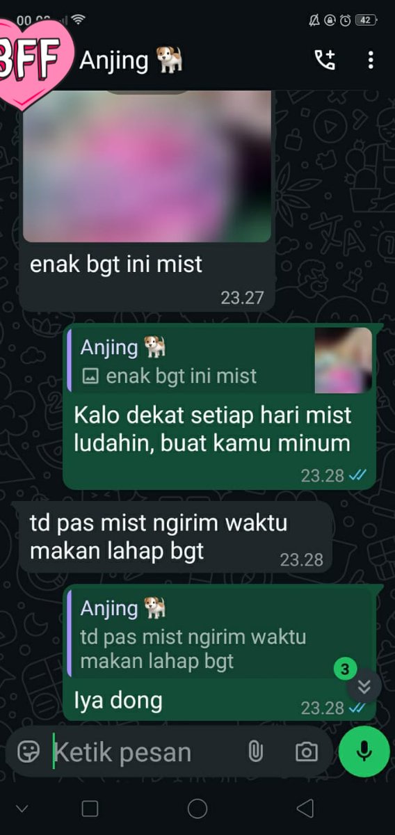 mistress dea tweet media