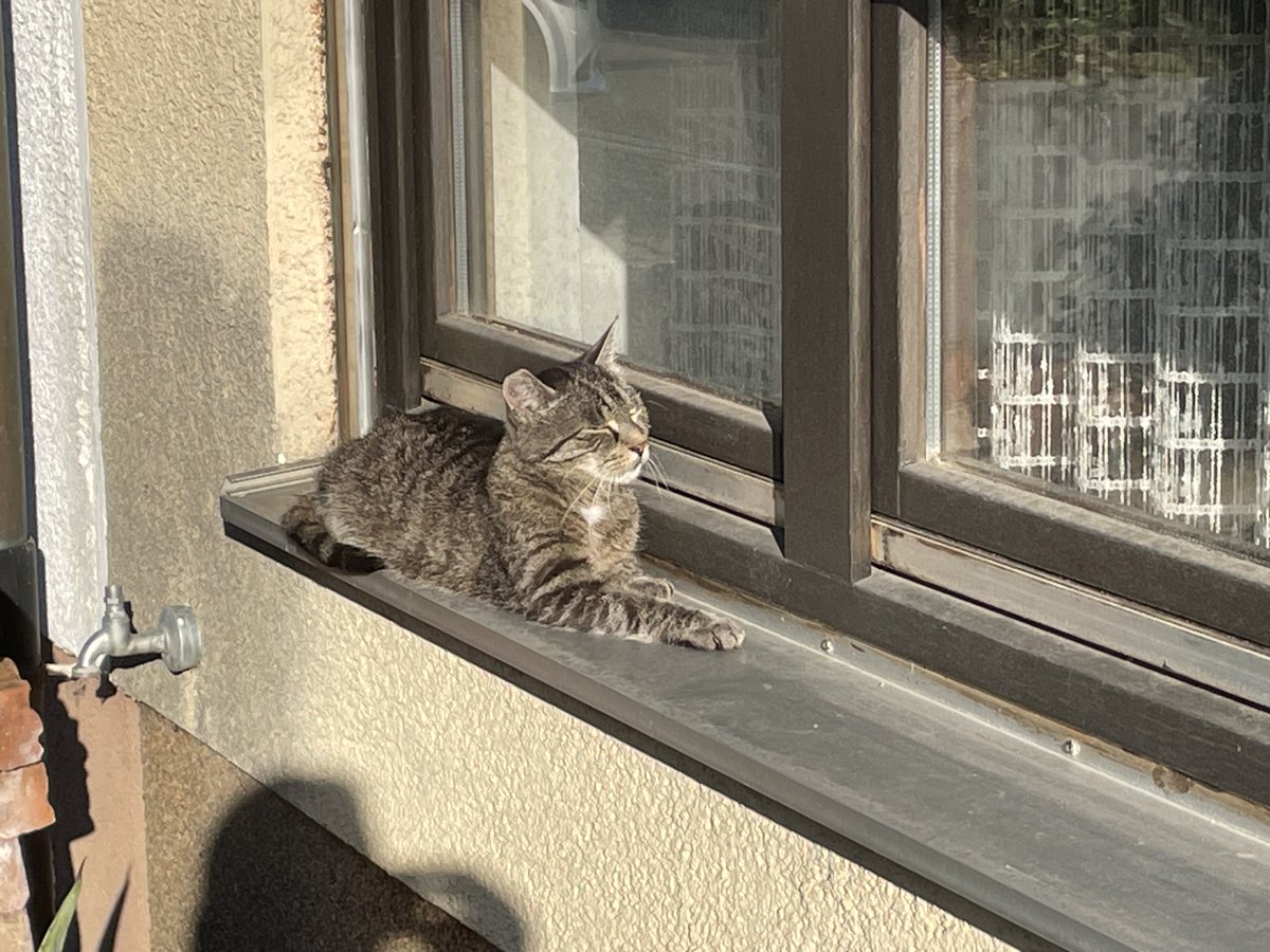 Kleiner Sonnenkollektor