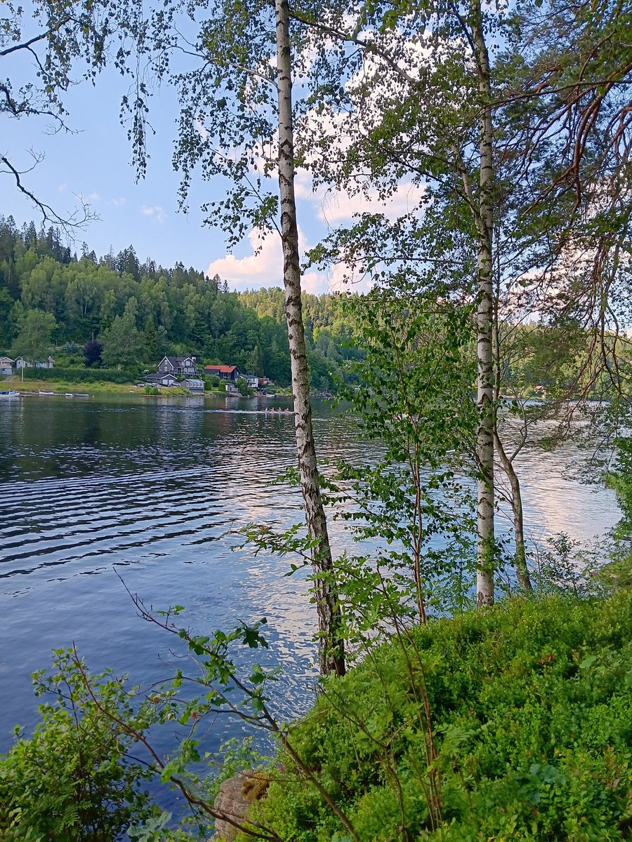 AnetteJonasson's tweet image. A lovely sunny day by the lake with my daughter 🏊♂️🩵☀️
#NatureBeauty
#SummerVibes