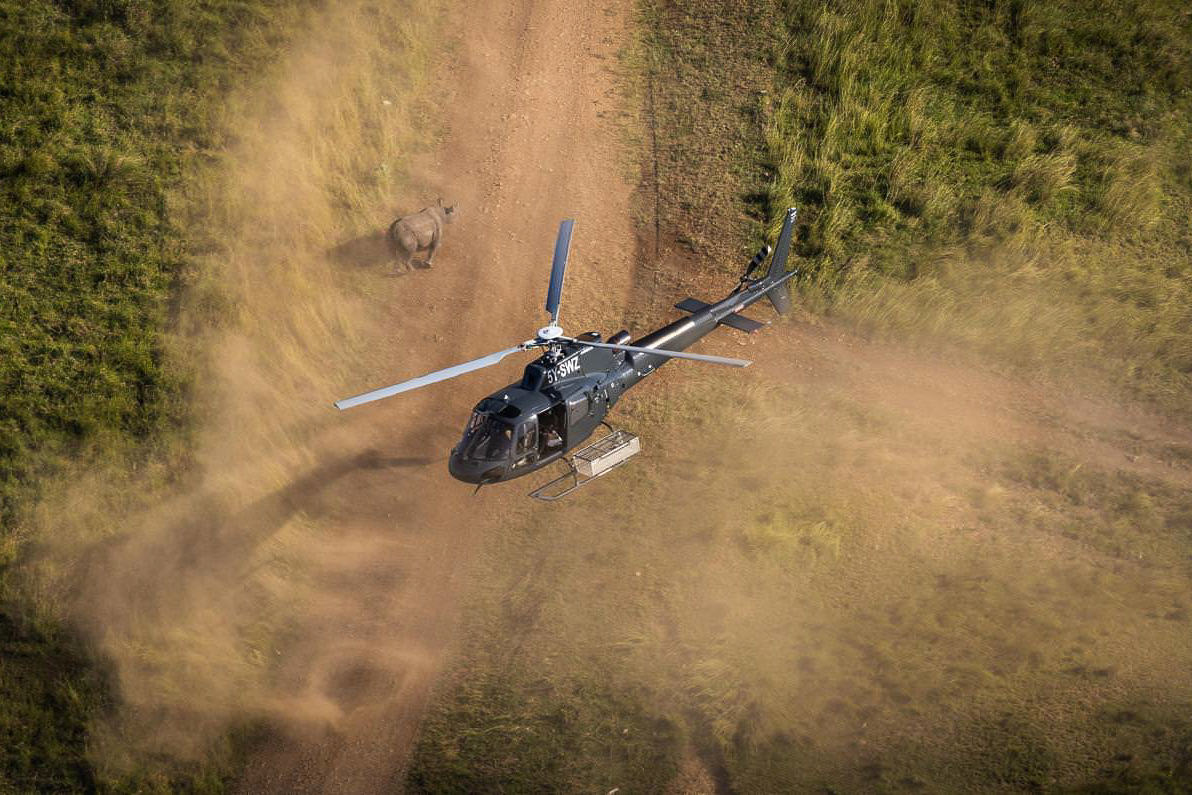 SheldrickTrust's tweet image. Our Aerial Unit is on patrol every day, covering vast swathes of wilderness to monitor wildlife, deter illegal activity, and respond to emergencies. Whether it’s supporting anti-poaching teams, mitigating human-wildlife conflict, or helping to deliver urgent veterinary care, our…